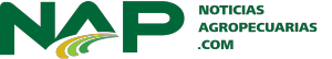 logo-NAP-ok2